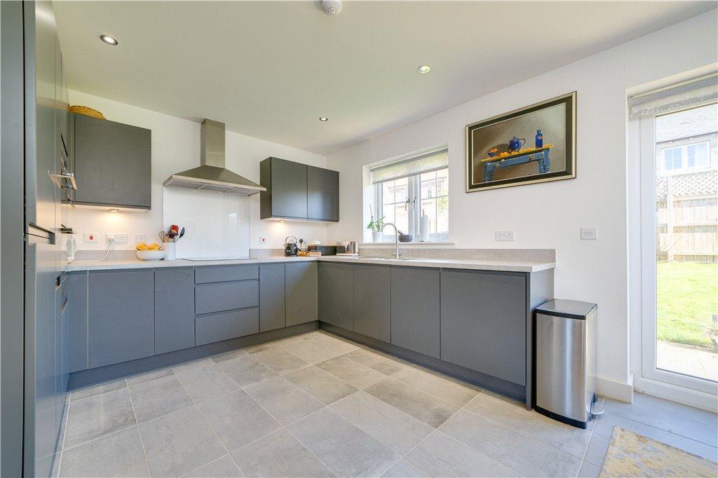 Modern Kitchen