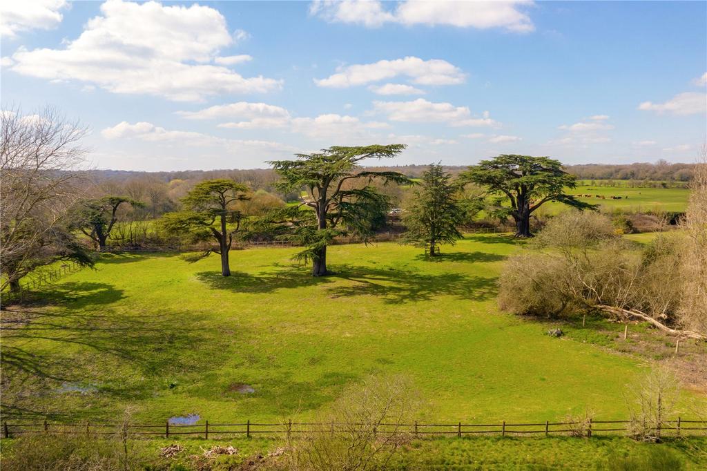 Cedar Garden