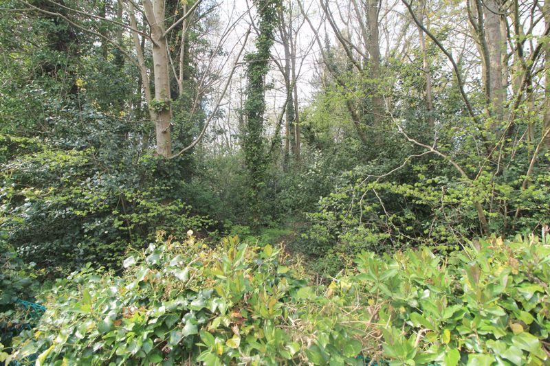 Rear Wooded Nature
