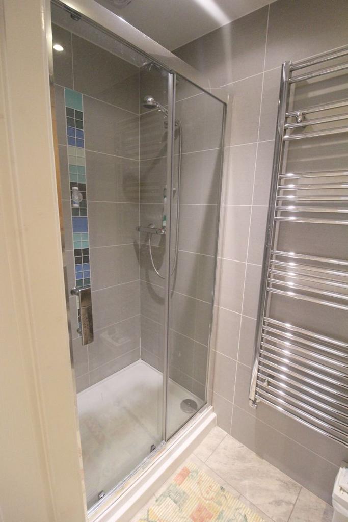 Downstairs Shower