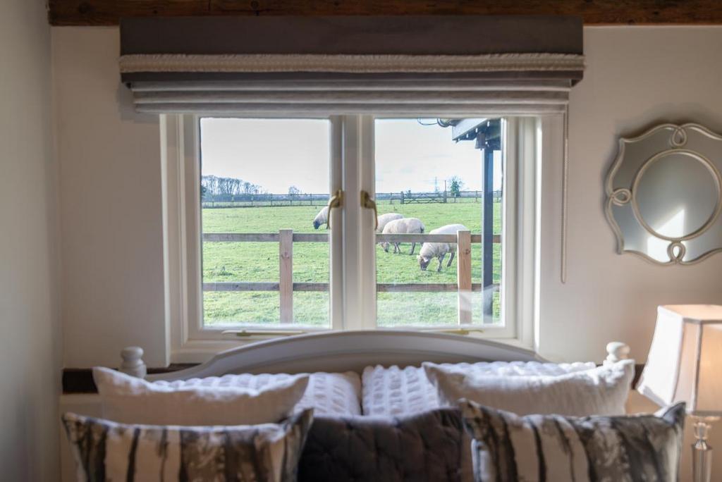Countryside views