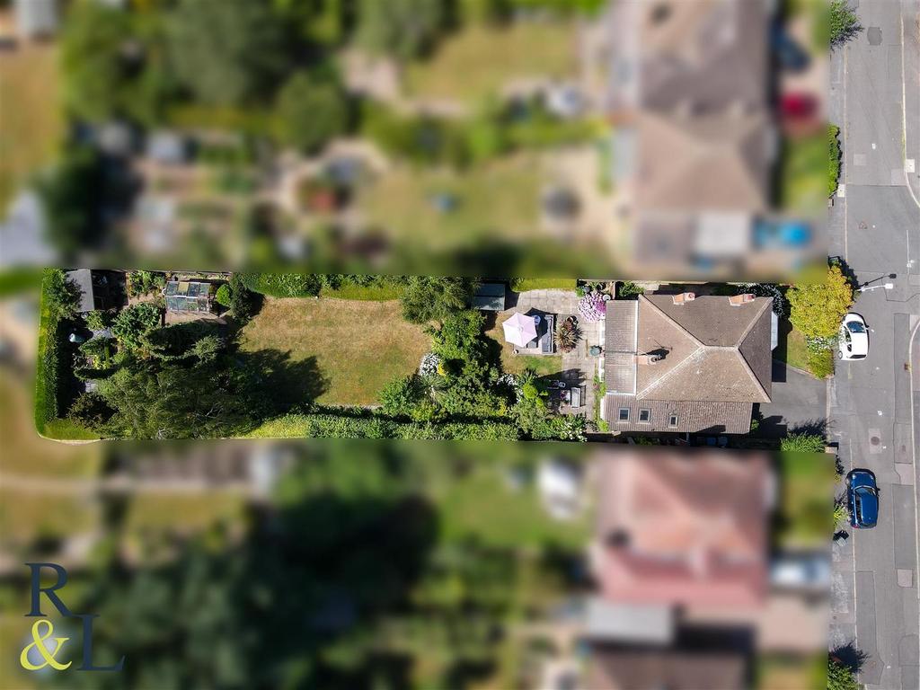 DJI 0247.jpg