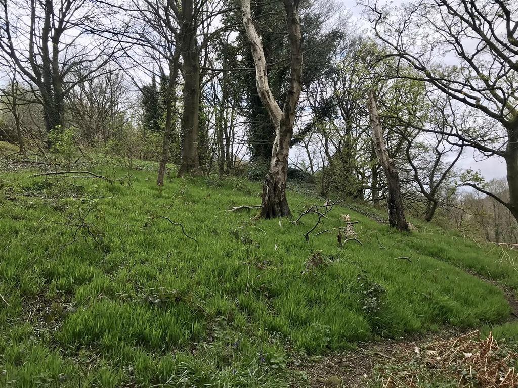 Woodland at Plank Gate, Wortley, Sheffield Land for sale £5,000