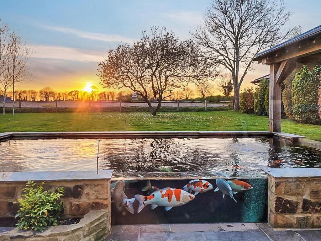 Garden/Sunset