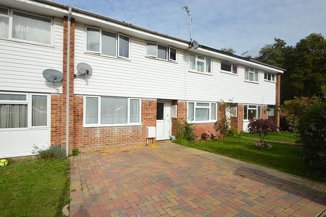 External (Main)