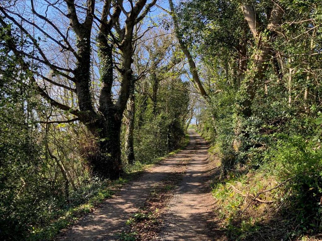 Track To Property
