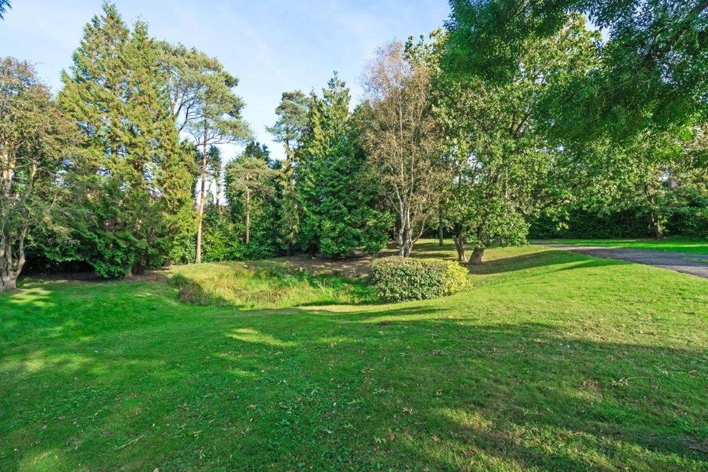 Adjoining Grounds