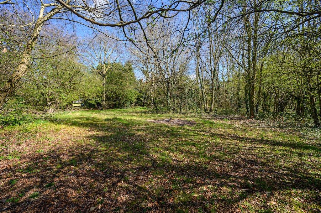 Woodland/Paddock