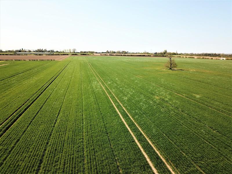Hall Farm, West End, Northwold, Thetford, Norfolk, IP26 5LG Farm land