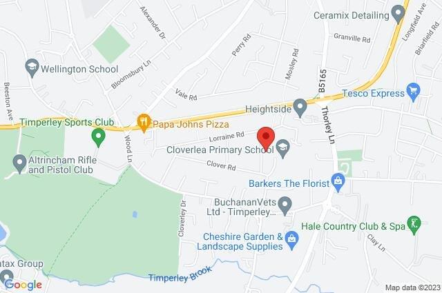 Google Maps Image