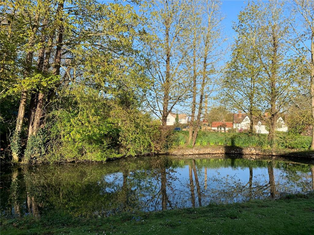 View From Pond
