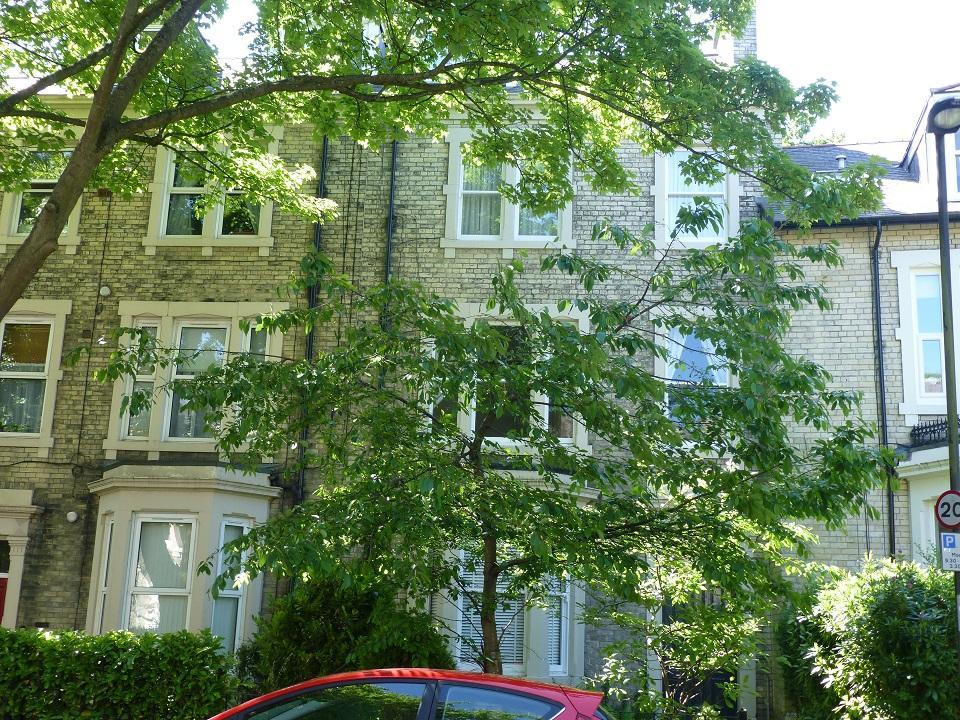 Granville Road, Jesmond NE2 1 bed apartment £1,100 pcm (£254 pw)