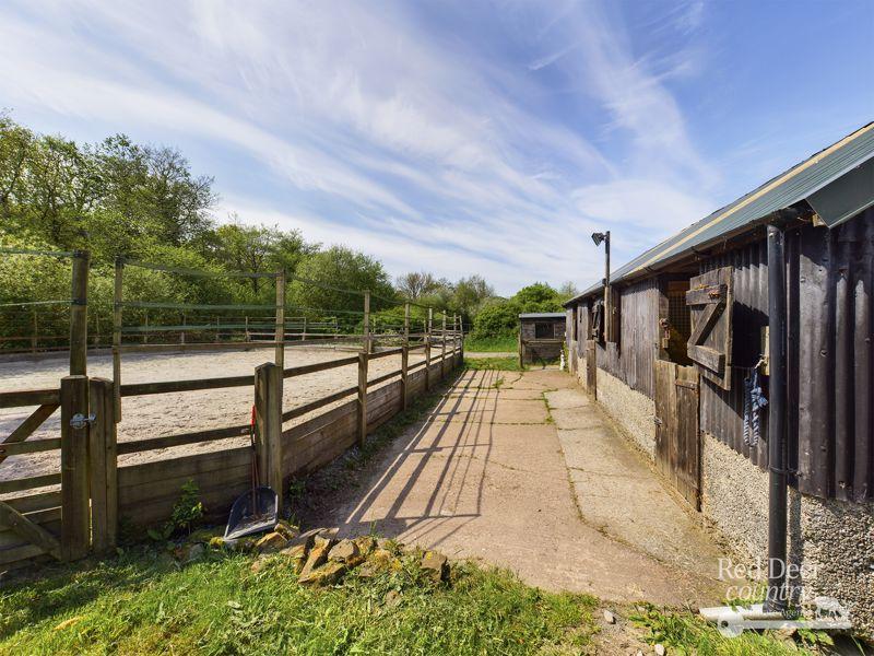 Lunge Pen