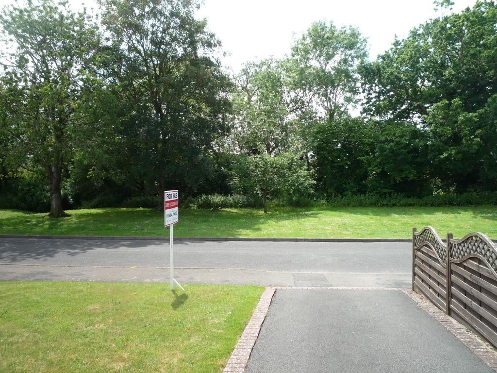 Photograph 11