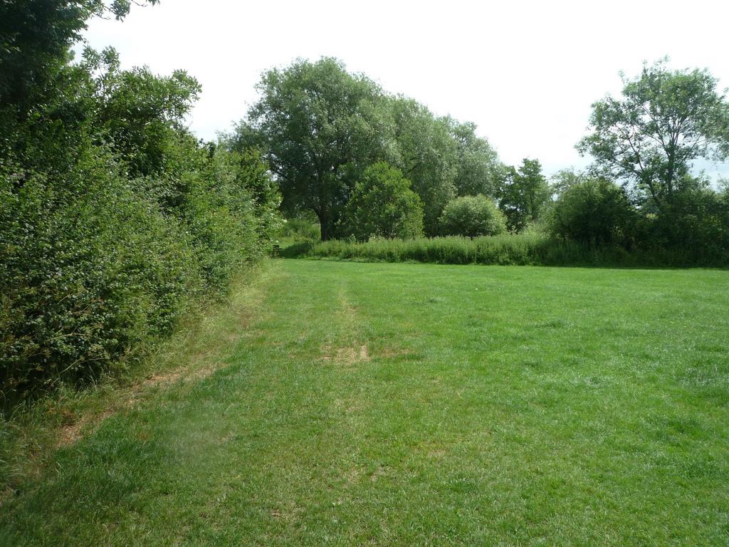 Photograph 14
