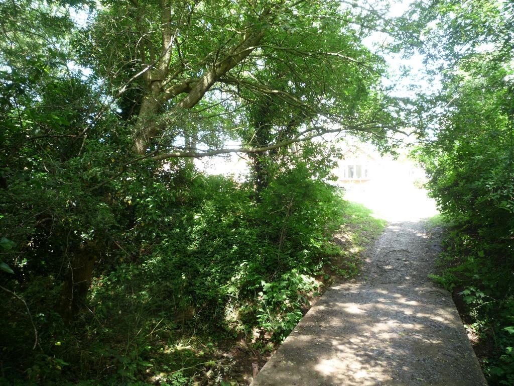 Photograph 15