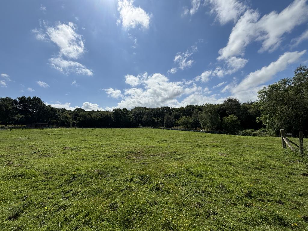 Land (sixth image)
