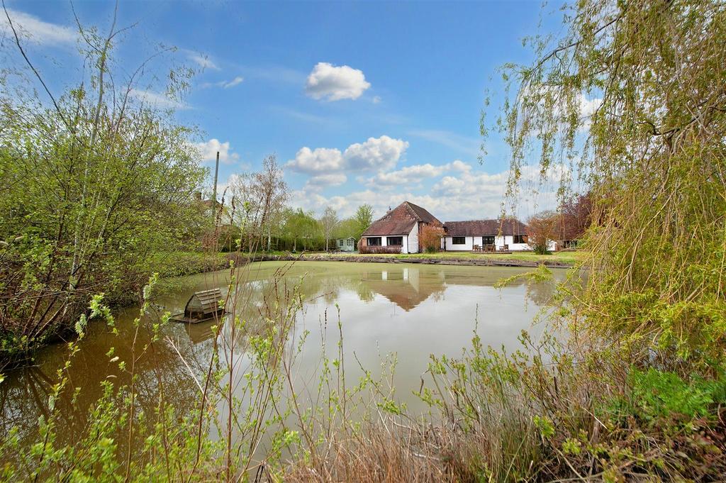 Pond.jpg