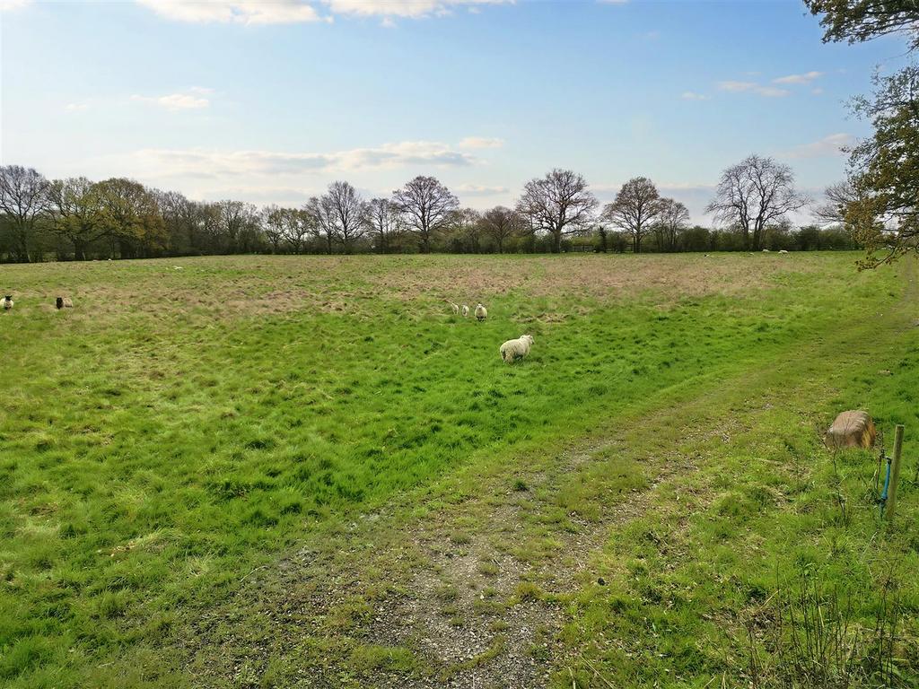 Bottom Field.jpg