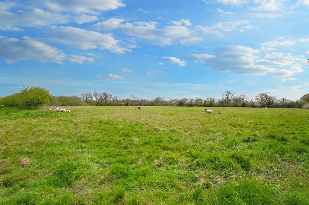 Top Field.jpg
