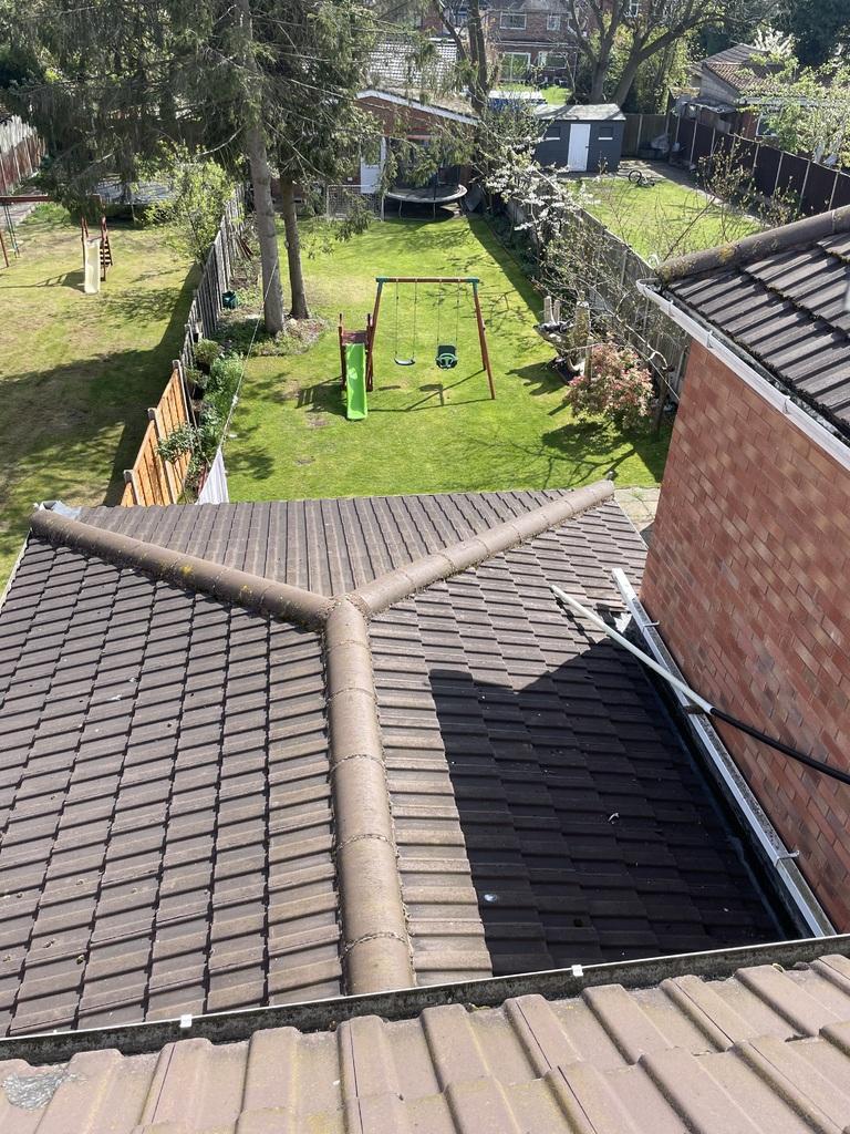 Rear garden 3
