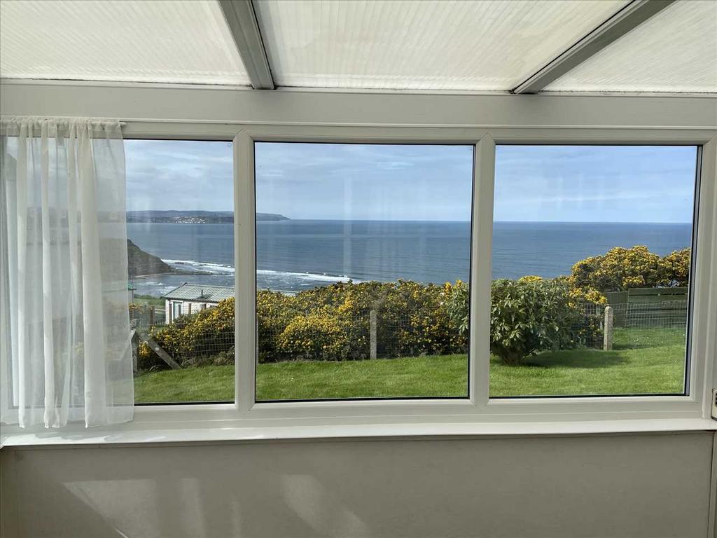 'view from the