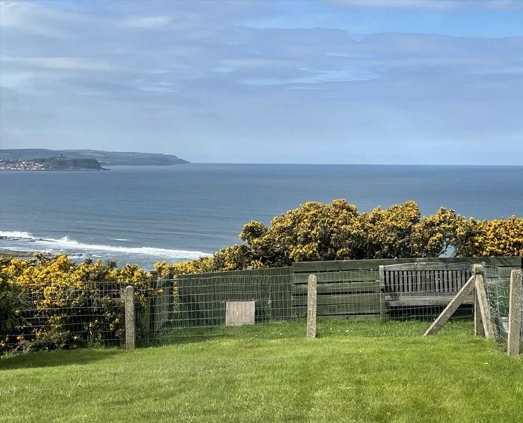 'view from the