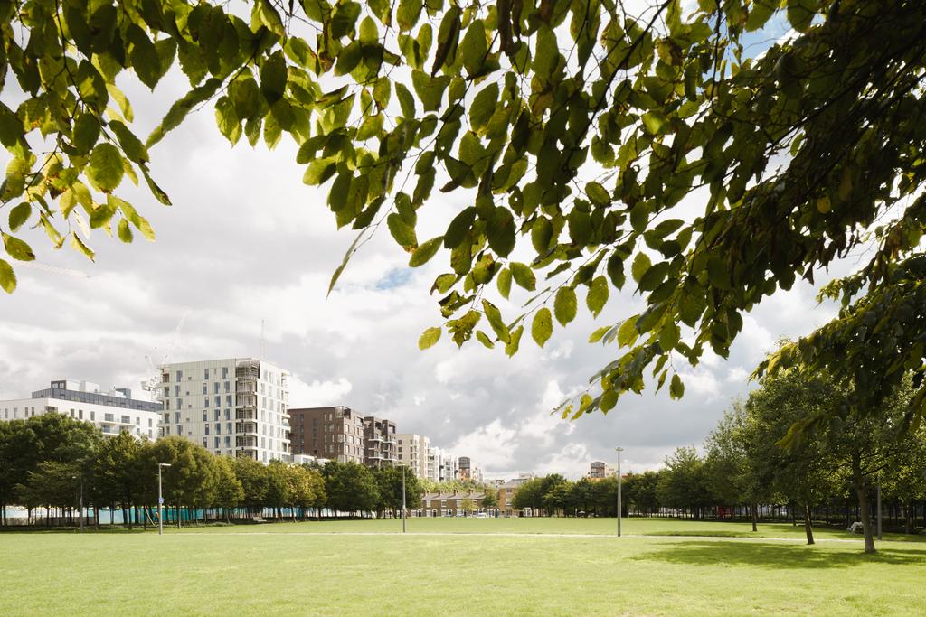 Central Park Summer   Lower Riverside View.jpg