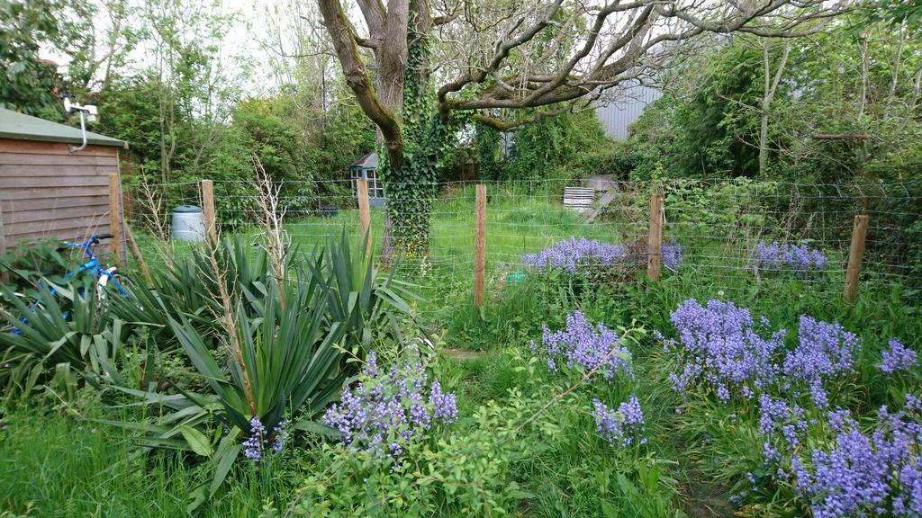 Edenbridge, Kent, TN8 3 bed bungalow for sale £425,000