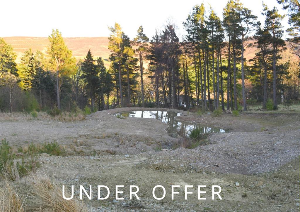 Quarter Wood House Plot, Broughton, Biggar, Scottish Borders, ML12 Plot