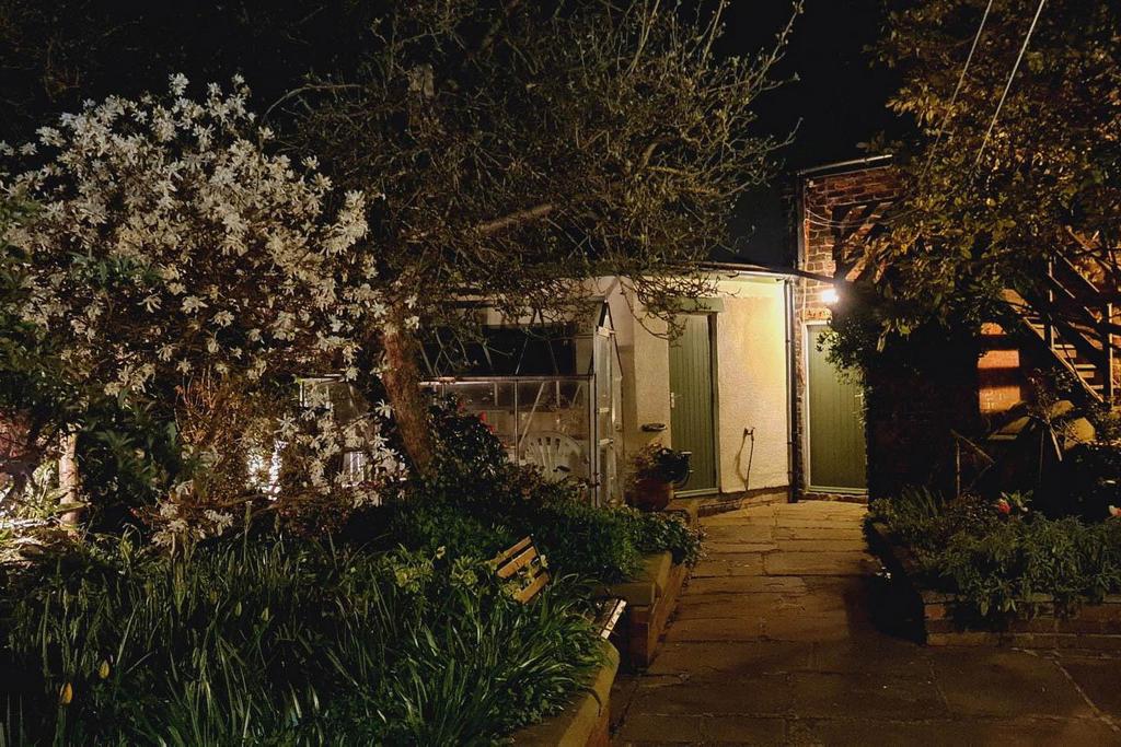 Garden Night