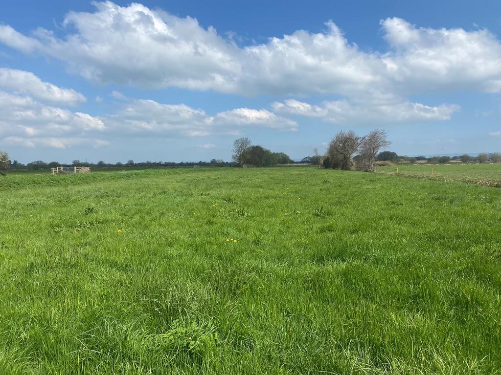 Lot A West Drove, Catcott, Catcott... Farm land £15,000