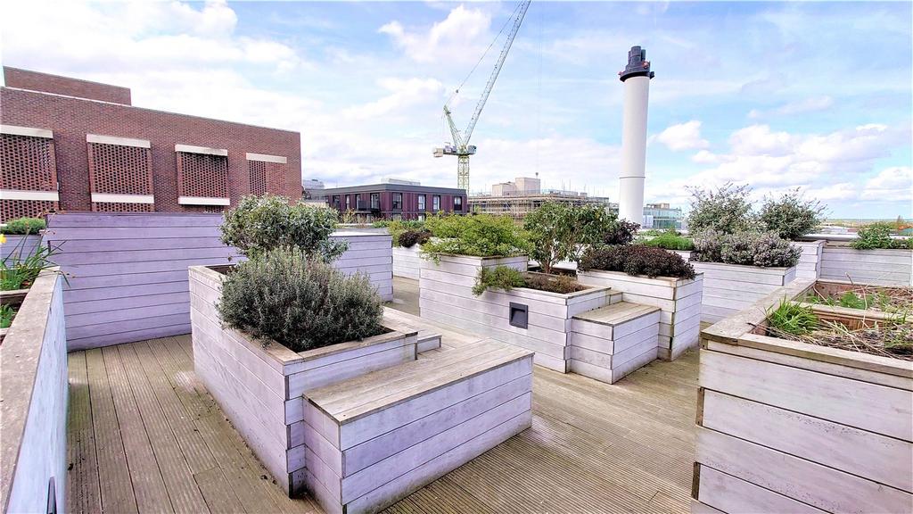 Roof Top Terrace (4)