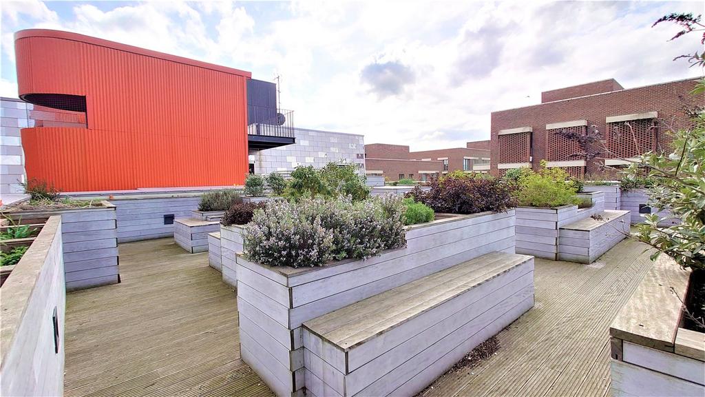 Roof Top Terrace (5)