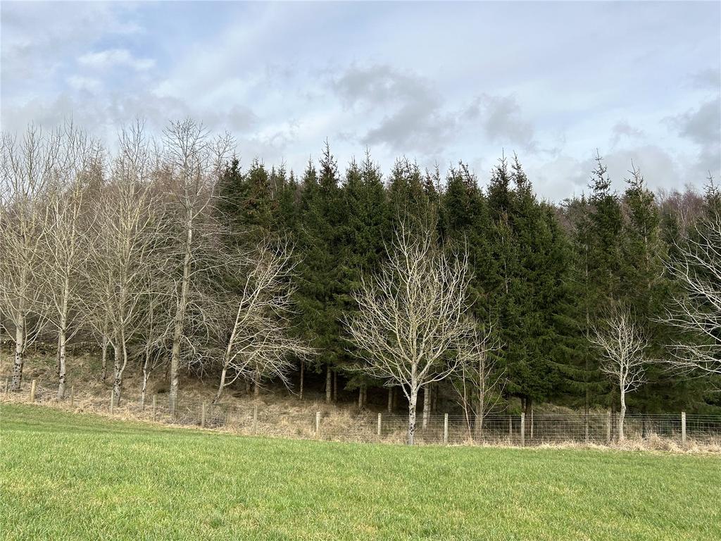 Woodland At Greenhead Farm Lot 2, Sanquhar, Dumfries and Galloway