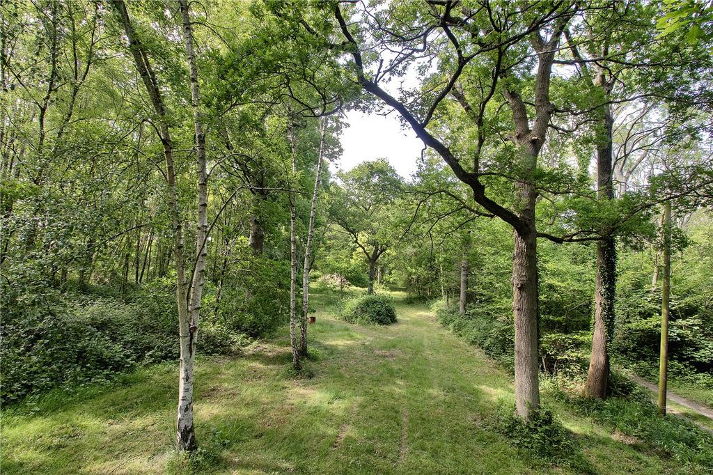 Driveway &amp; Grounds