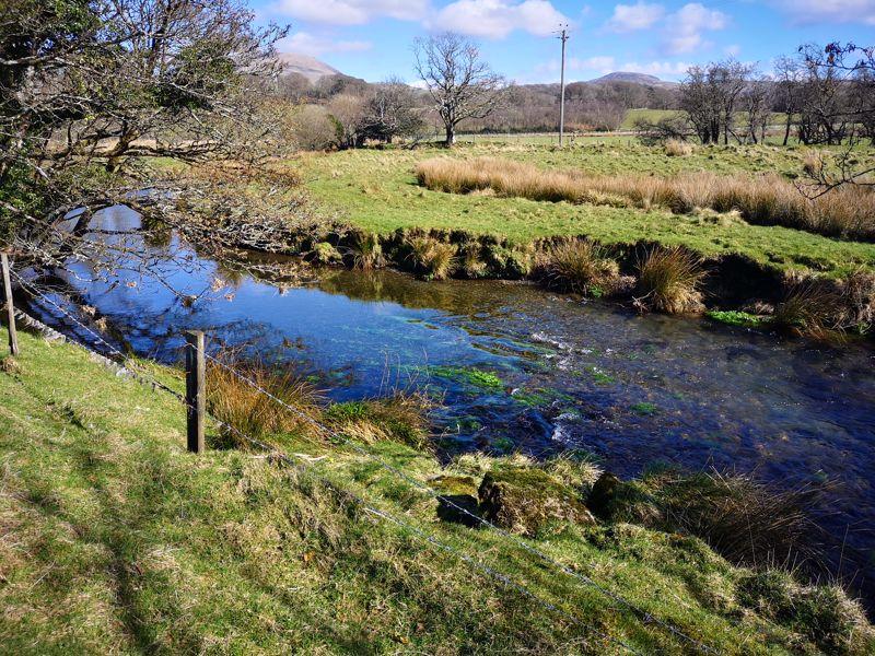 View of River