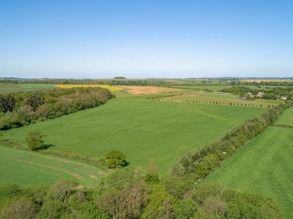 Arable Land