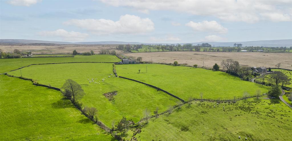 Pasture