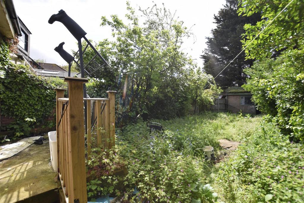 Garden copy.jpg