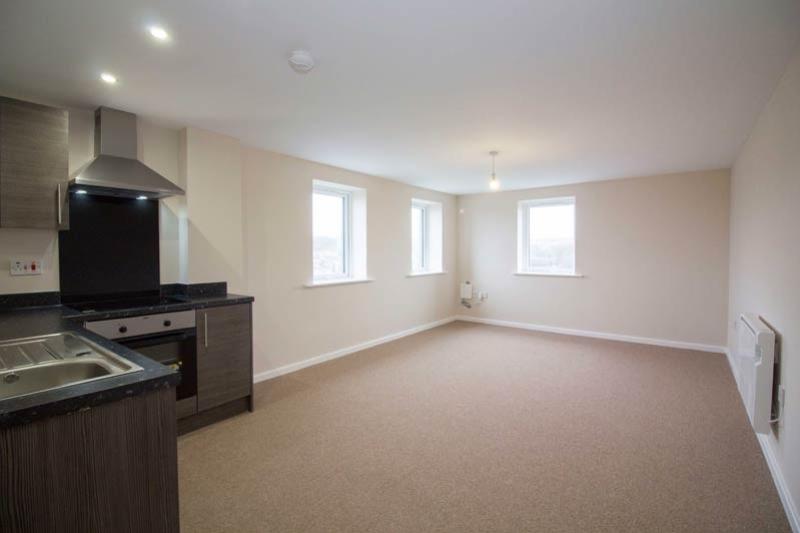 Open Plan Kitchen and Living Area