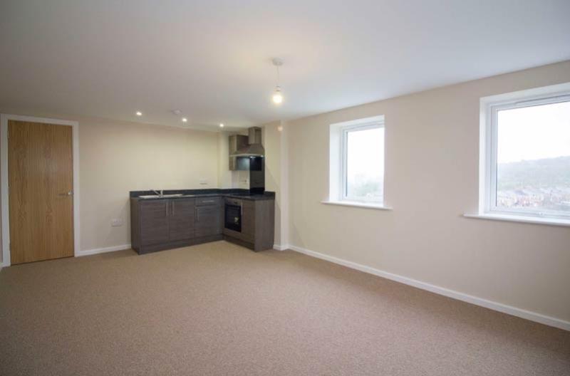 Open Plan Kitchen and Living Area