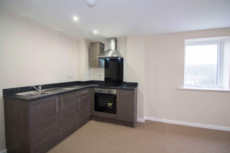 Open Plan Kitchen and Living Area