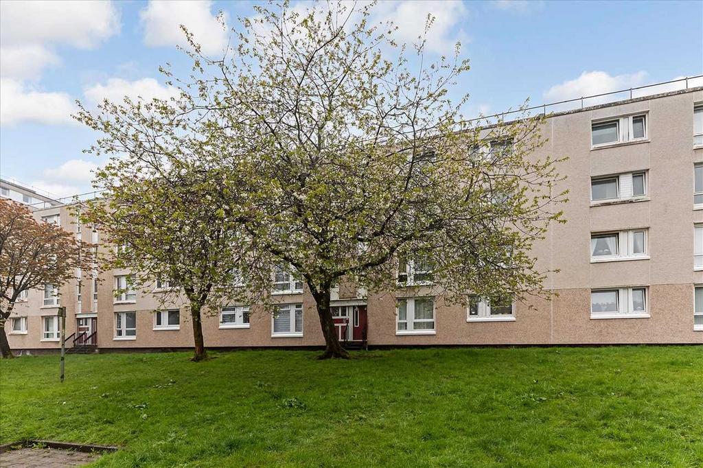 Surrounding Gardens