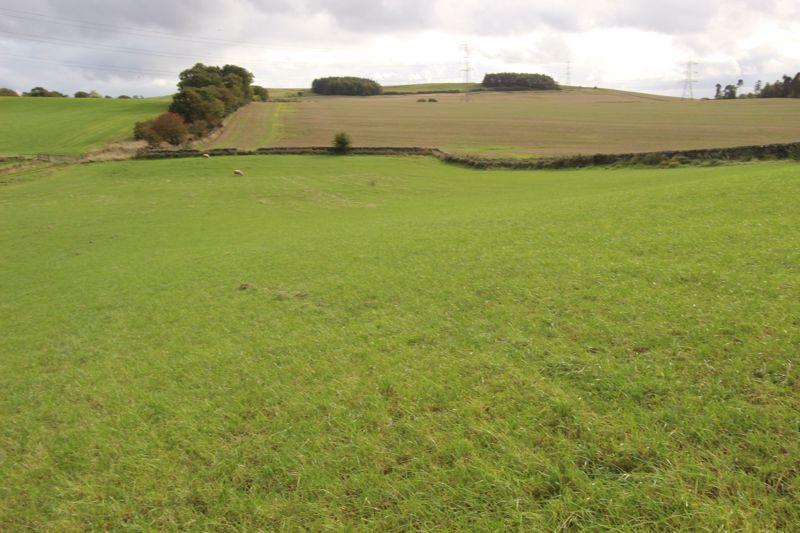 Lot 3