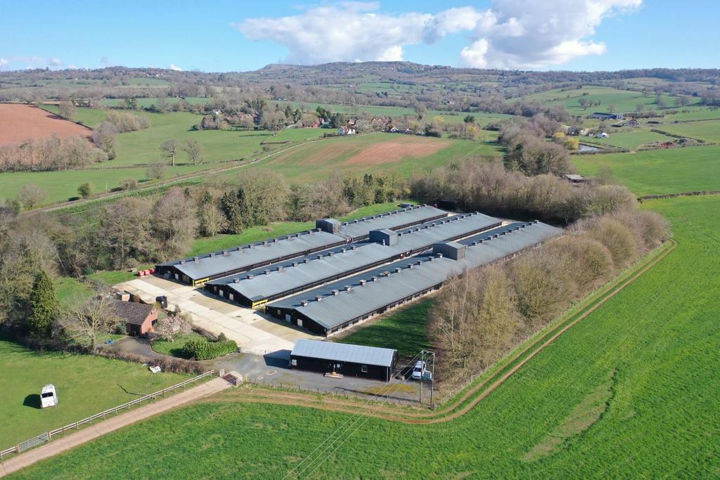 Sycamore Farm, Whitton, Ludlow Farm for sale £650,000