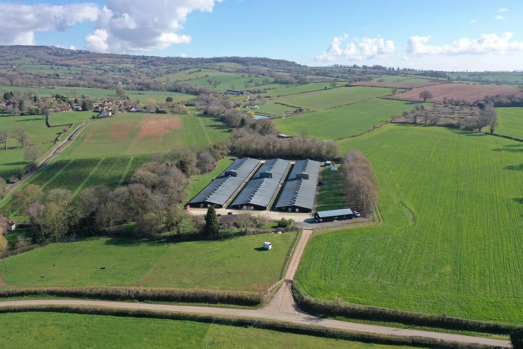 Sycamore Farm, Whitton, Ludlow Farm for sale £650,000