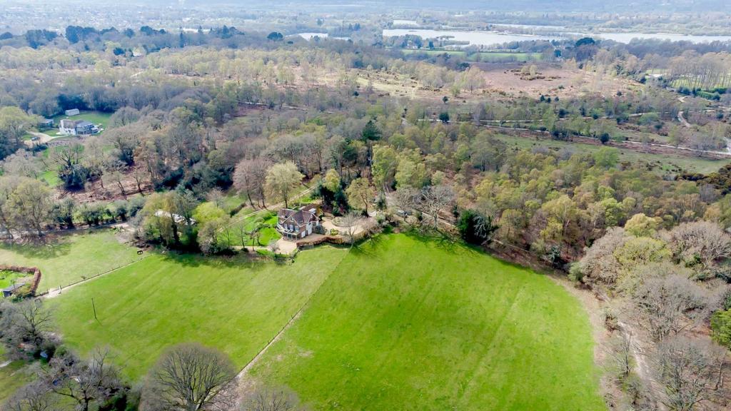 New Forest 4 bed equestrian property for sale £1,950,000