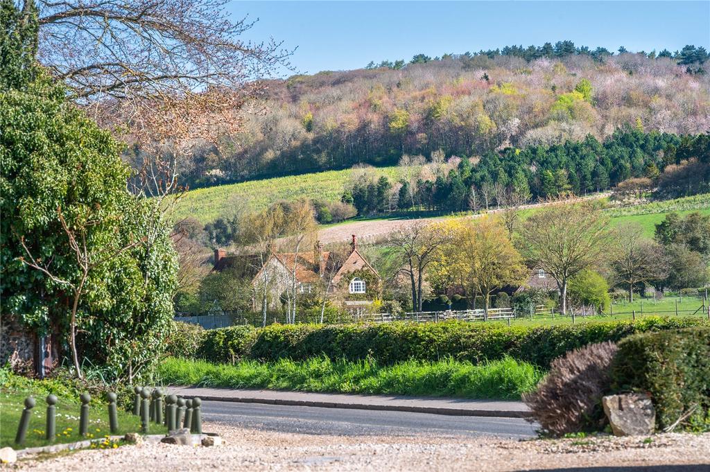 View From Driveway