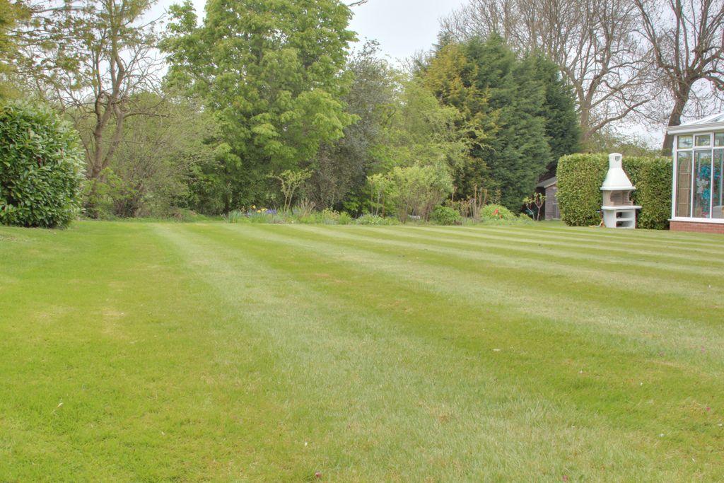 Garden at Side